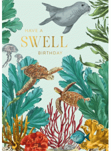 HA02 Greeting Card - Habitana - Have a Swell Birthday